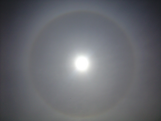 新イベントのお知らせ